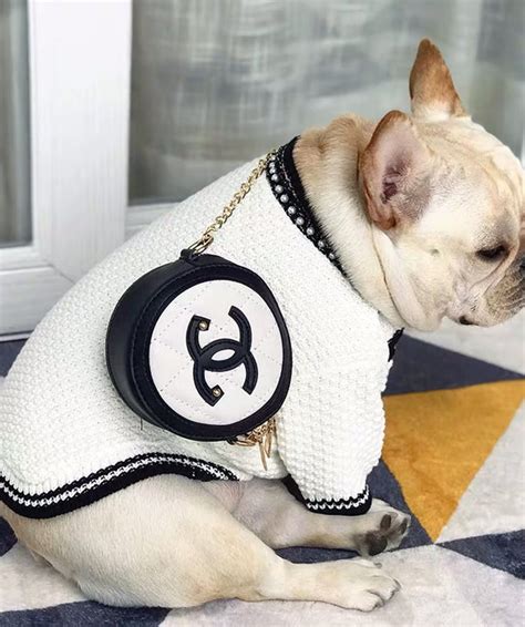 coco chanel dog bag|Coco Chanel dog outfits.